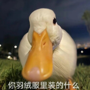 我不是小糖人鸭