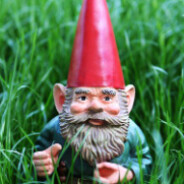 Gnome