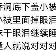 桥洞底下盖小被、逢人