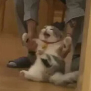 狂拽龙少刁霸天