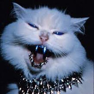 Catto's avatar