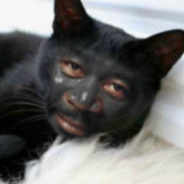 Reggin SKINS Steam avatar