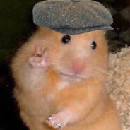 генста хомяк