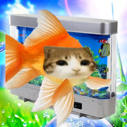 Fishv01