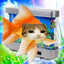 Fishv01