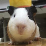 你妈是不是新疆的