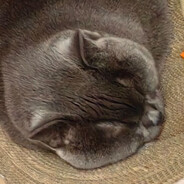 当疯子一年了感觉良好