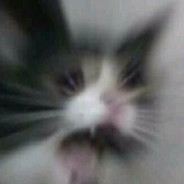 甘木今天还债了吗