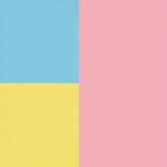 NEEDS CORRECTION PLAP PLAP ????