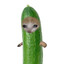 CUCUMBER