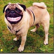 *>๖ۣۜTgC<* BiZzL