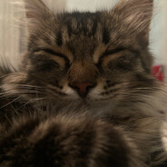 dakuma - steam id 76561198884430327