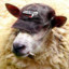 Baran13's avatar
