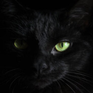 Defeat high-spec by sweat