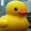 TheDuckFamily