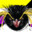 BakaPenguin