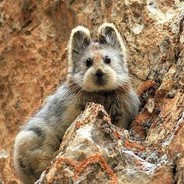 彪悍的人生不需要解释