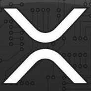 t9ddy $589onXRPL.com