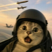 Scaredy Cat