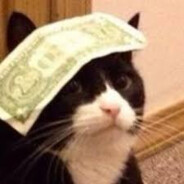 Guap Gato