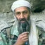 osama