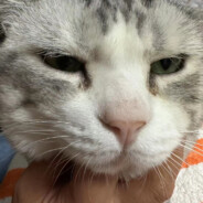 炼狱小镇殷家睿