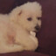 Ziggy Lamar