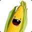 The Corn