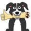 Mr. Pickles