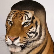 сын бляди peek