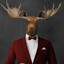 BusinessMoose