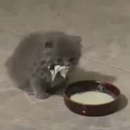 уц уц уц бейби