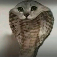 Smegma - steam id 76561199234996470