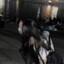 Hosianka ღ