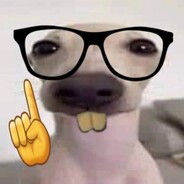 FENTPEEK Mr.Chow
