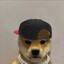 Dogesh Bhai