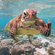 她说分了还能做