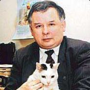 podstępny żyd mosze kalkstein