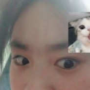 爱明凯的猪猪仔