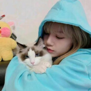 玩cs2的都是脑残