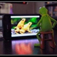 WildWichsenerWaldWichtel