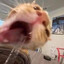 Filipe