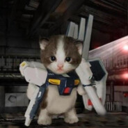 Котофеич воскрес