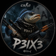 P3iX3