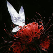 accusation and forgiveness