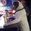 TREVOR