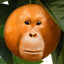 Me after dissing the fruit witch