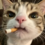 爱刷抖音的月亮