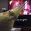 GrinningBirb