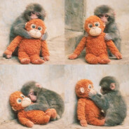 (パニッシャー) SaQya avatar